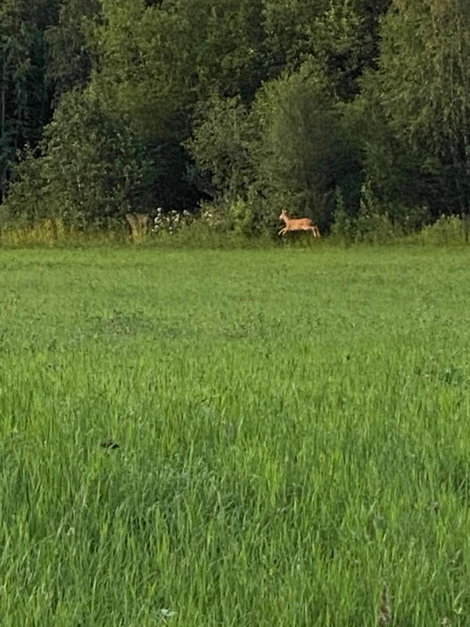 Fjellstad Gard - 2 Minutes From E6 And 5 Minutes Drive From Steinkjer City Villa Esterno foto