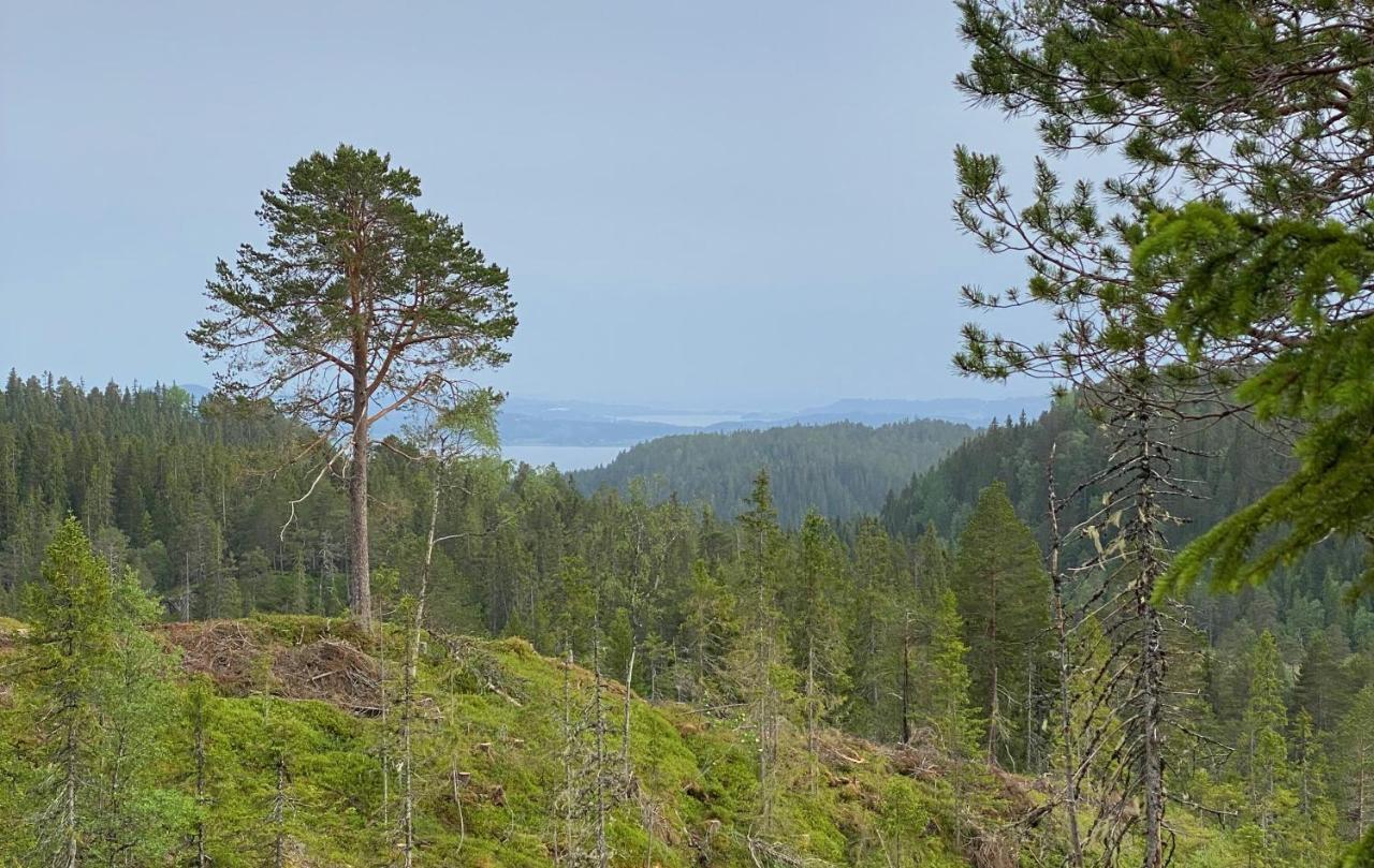 Fjellstad Gard - 2 Minutes From E6 And 5 Minutes Drive From Steinkjer City Villa Esterno foto