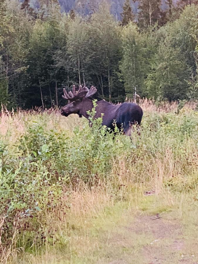 Fjellstad Gard - 2 Minutes From E6 And 5 Minutes Drive From Steinkjer City Villa Esterno foto