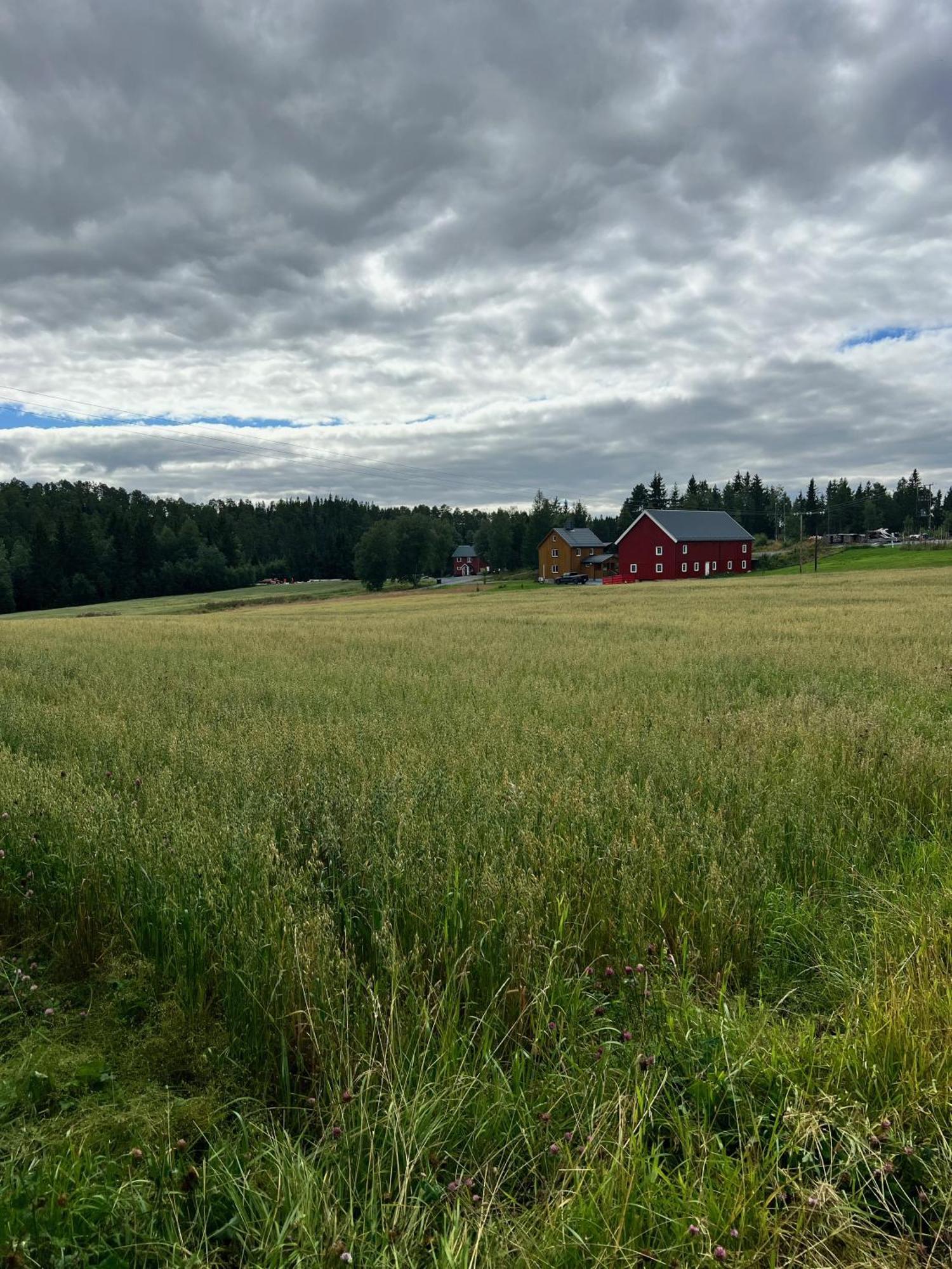 Fjellstad Gard - 2 Minutes From E6 And 5 Minutes Drive From Steinkjer City Villa Esterno foto
