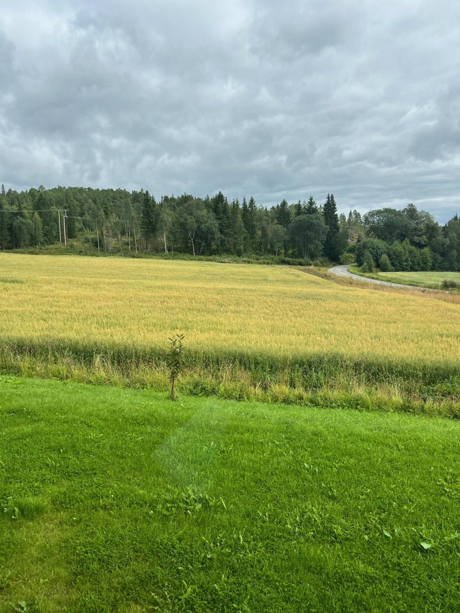 Fjellstad Gard - 2 Minutes From E6 And 5 Minutes Drive From Steinkjer City Villa Esterno foto